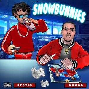 Snow Bunnies (feat. St6tic) (Explicit)