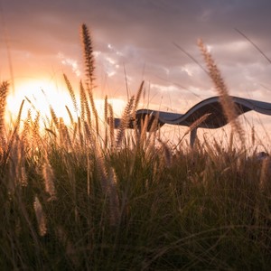 Next Year (Explicit)