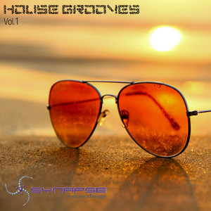 House Grooves, Vol. 1