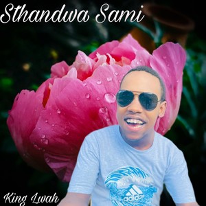 Sthandwa Sami