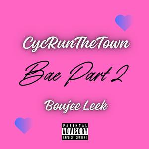 Bae, Pt. 2 (feat. Boujee Leek) [Explicit]