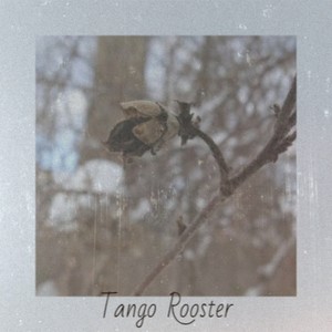 Tango Rooster