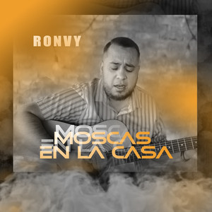 Moscas en la Casa (Cover)