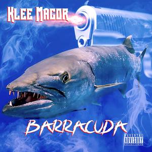 BARRACUDA (Explicit)