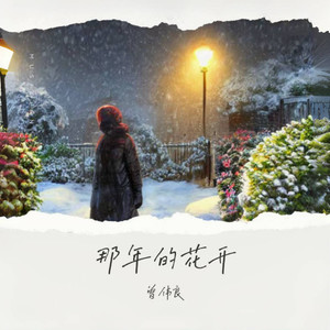 那年的花开 (伴奏)