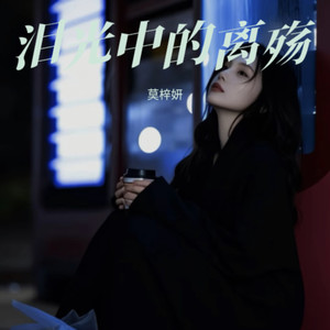 泪光中的离殇_独角戏