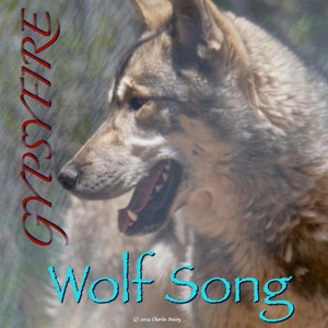 Wolf Dog Cookies(feat. Ted Miller, Susan Levin, Bob Condon & Maria Blair)