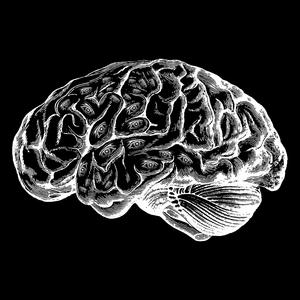 Twisted Kliff (Explicit)