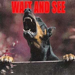 Wait and See (feat. Trill Stevo)