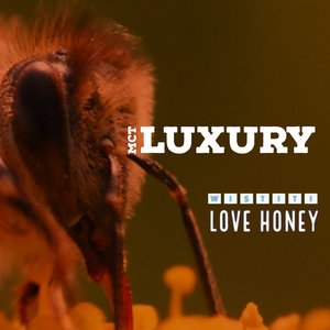 LOVE HONEY