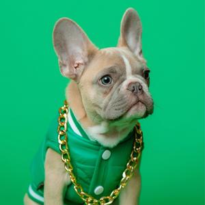 Underdog (feat. Hadex)