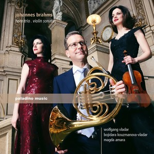 Trio for Violin, Horn and Piano in E-Flat Major, Op. 40 (1865) - I. Andante - Poco Più Animato