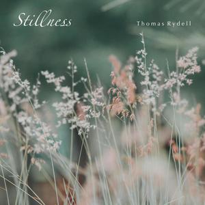 Stillness