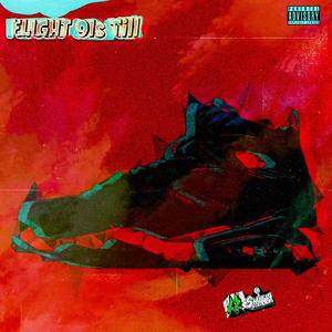 Flight 91s Till (93 till Infinity Cover)