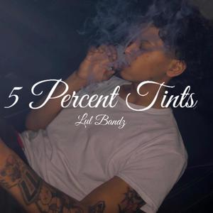 5 Percent Tints (Explicit)