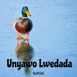 Unyawo Lwedada