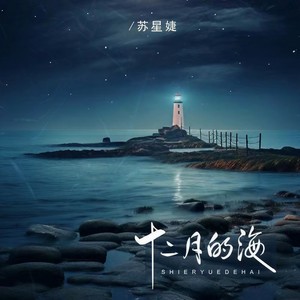 苏星婕-十二月的海[MP3_LRC]_MP3下载