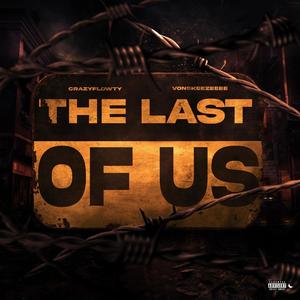 The last of Us (feat. Vonskeezeeee) [Explicit]