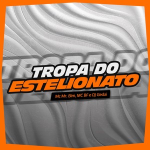 TROPA DO ESTELIONATO (Explicit)