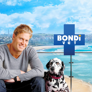 Bondi Vet TV Theme 2006 (Music from the Original TV Series)