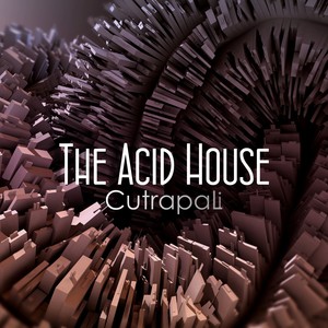 The Acid House