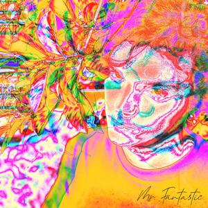 Mr. Fantastic (Explicit)