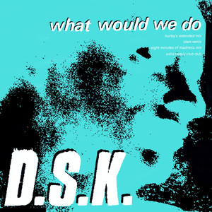 What Would We Do (Junior Boy's Own Mixes)