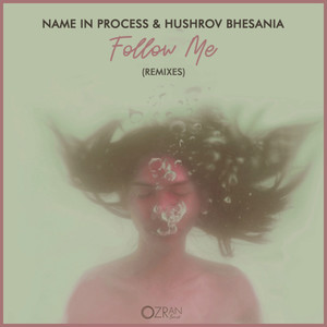 Follow Me (Muzo Remix)