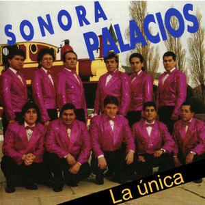 Sonora Palacios / La Única