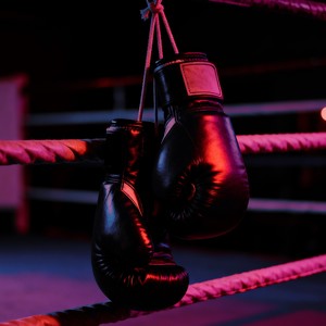 A REVANCHE (ULTRA SLOWED)