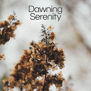 Dawning Serenity