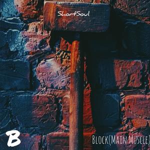 B Block (Main Muscle)