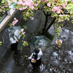 不敢想在红叶树下打卡有多浪漫
