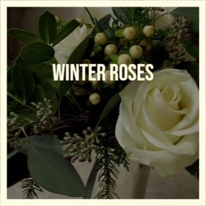 Winter Roses