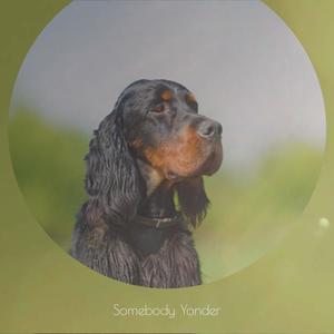 Somebody Yonder