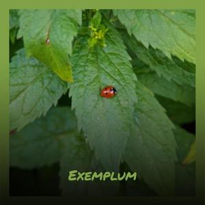 Exemplum