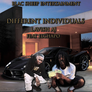 Different Individuals (Explicit)