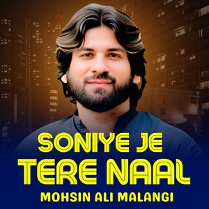 Soniye Je Tere Naal