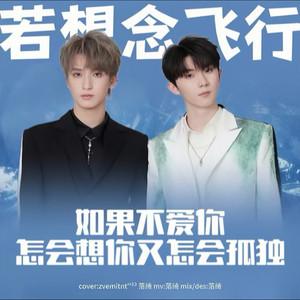 若想念飞行