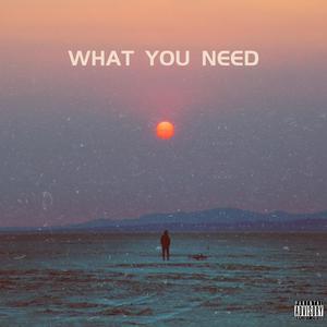 WHAT YOU NEED (feat. Zulue) [Explicit]