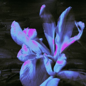 FOR YOU