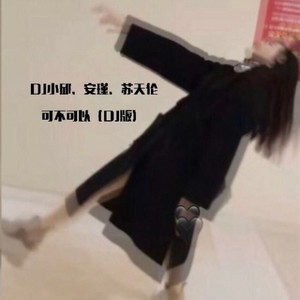 小邱 - 可不可以 (DJ安瑾|DJ苏天伦版)
