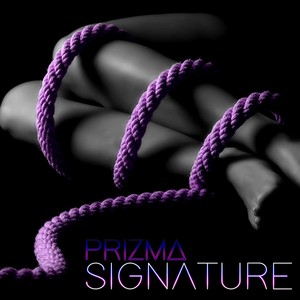 Signature (Radio Edit)