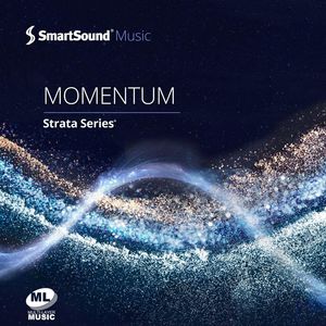 Momentum