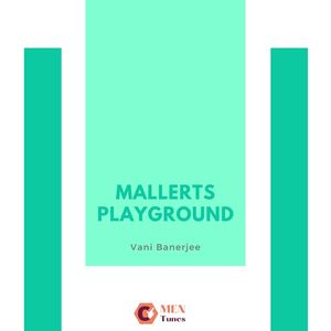 Mallerts Playground (Original Mix)