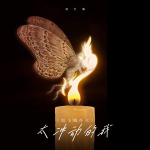 太冲动的我（如飞蛾扑火） (伴奏)