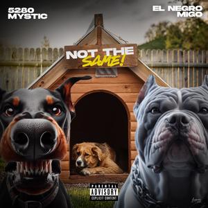 Not The Same (feat. EL Negro Migo) (Explicit)
