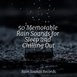 Brain Study Music Guys - Thick Rain & Avians