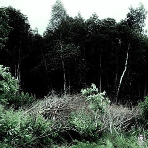 Forest Swamp (Explicit)