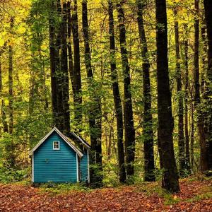 Heddal den skjulte bygda